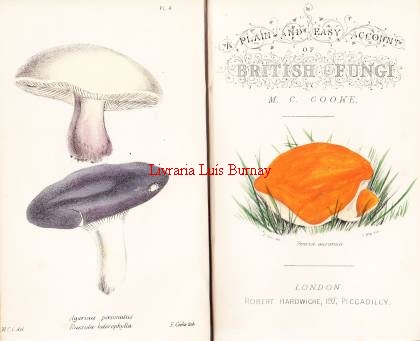 Plain and Easy account of British Fungi: with descriptions of the esculent and poisonous species, details of the principles of scientific classification, and a tabular arrangement of orders and genera.